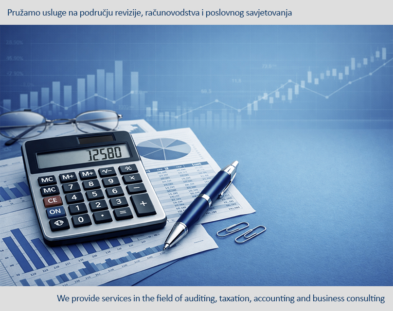 Audit and financial consulting services